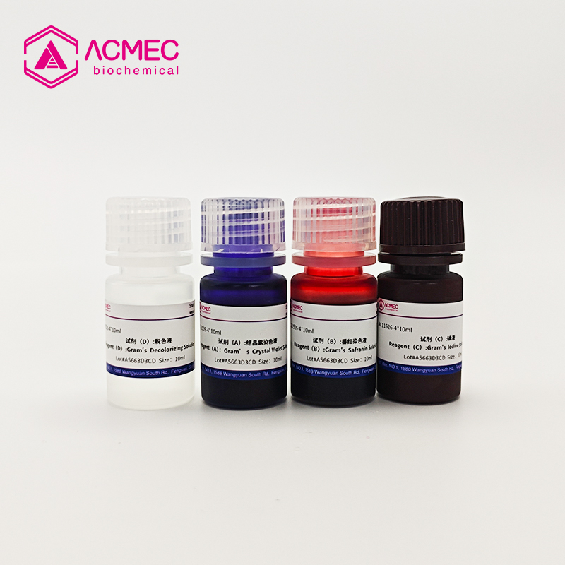 革兰氏染色yabo官网手机版盒