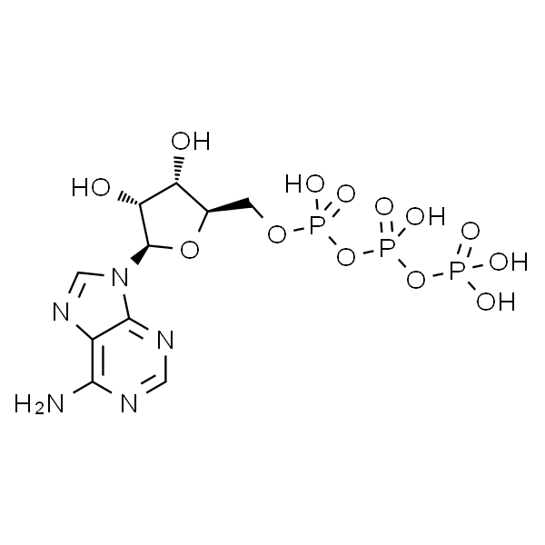 腺苷-5'-三磷酸