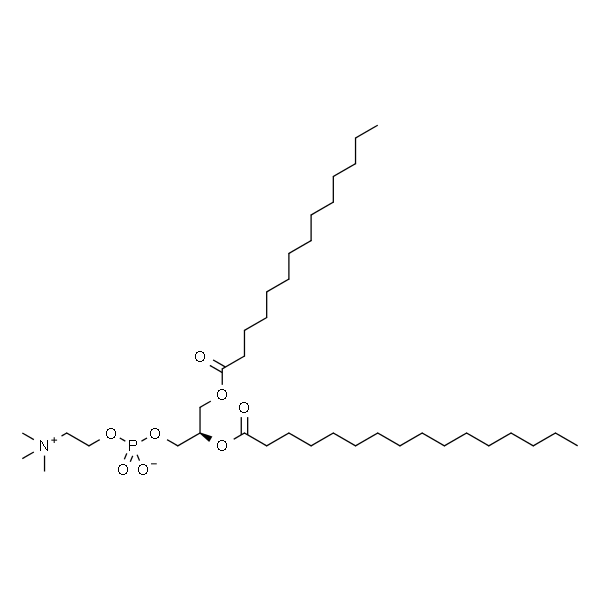 1-肉豆蔻酰基-2-棕榈酰基-sn-甘油-3-磷酸胆碱