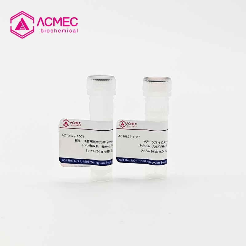 活性氧检测yabo官网手机版
盒