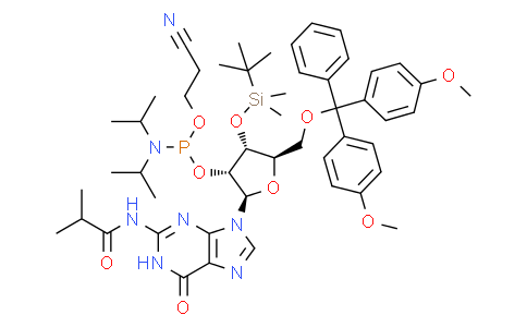 3'-O-叔丁基二甲基甲硅烷基-5'-O-DMT-N2-异丁酰鸟苷2'-CE亚磷酰胺