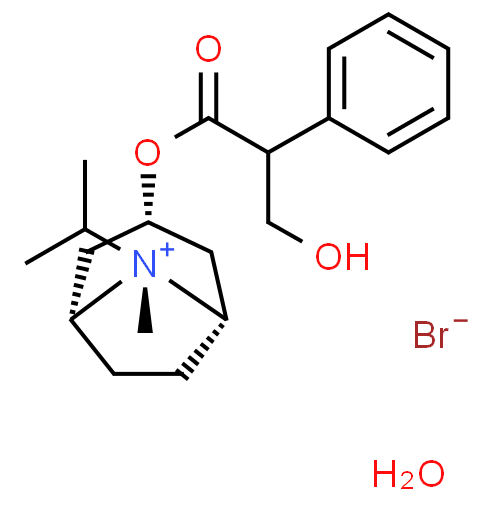 异丙托溴铵 一水合物