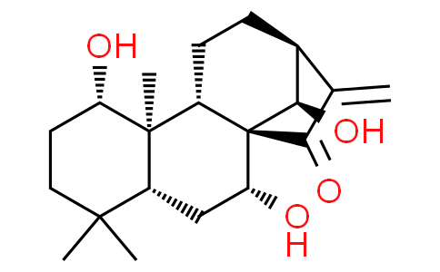 尾叶香茶菜戊素