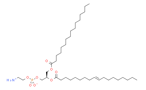 L-α-phosphatidylethanolamine (E. coli)