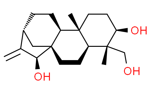 ent-16-Kaurene-3β,15β,18-triol