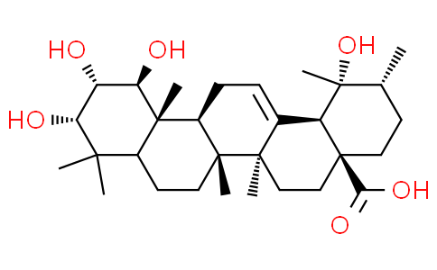 1β-Hydroxyeuscaphic acid