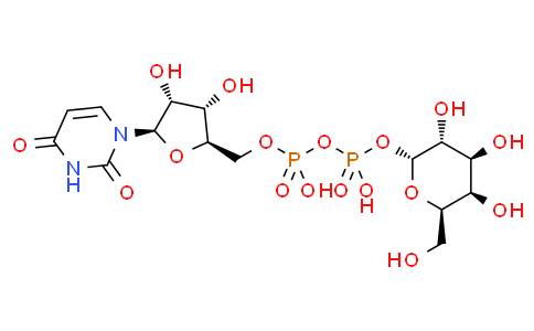 UDP-GAL(UDP-半乳糖)