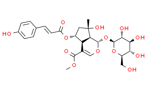 6-O-trans-p-Coumaroylshanzhiside