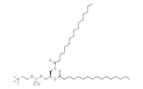 1,2-二棕榈酰-sn-甘油-3-磷酰胆碱