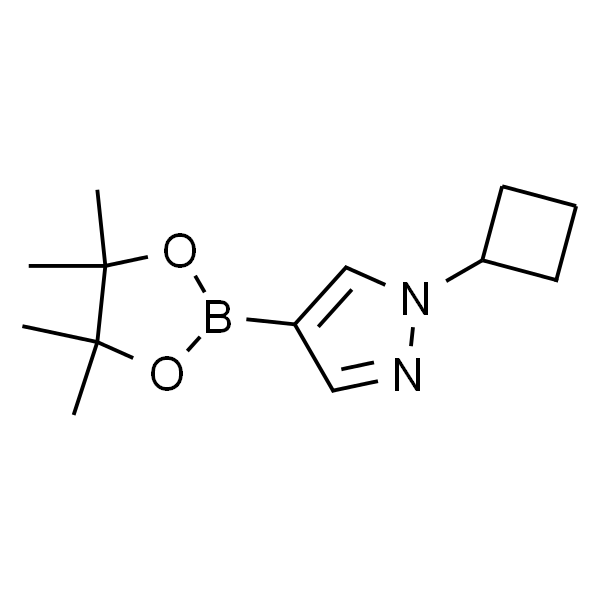 N-环丁基-吡唑-4-硼酸频哪醇酯