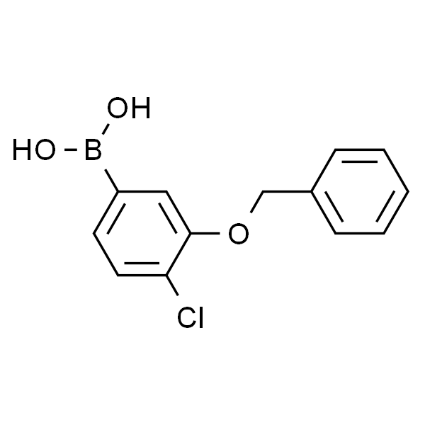 1007170-24-2