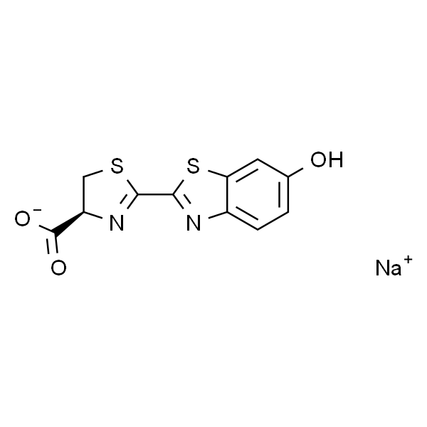 D-虫荧光素钠盐