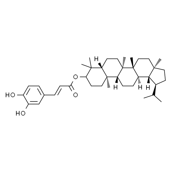 咖啡酸羽扇豆醇