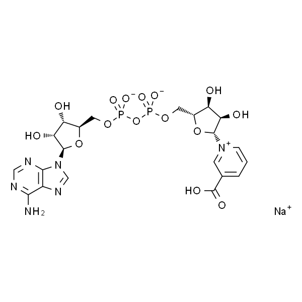 Nicotinic acid adenine dinucleotide sodium salt 