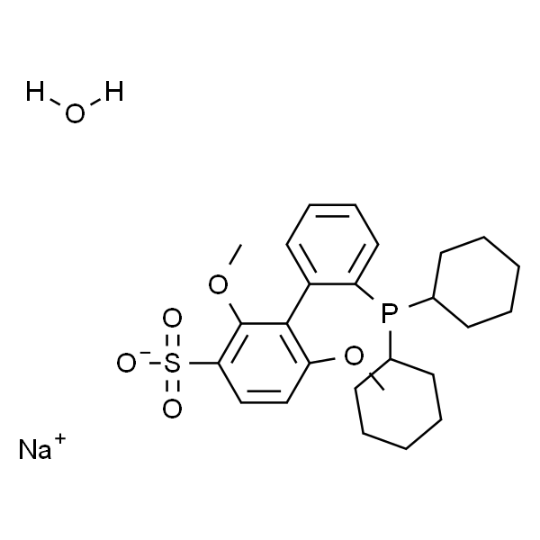 2'-(二环己基膦)-2,6-二甲氧基-[1,1'-联苯]-3-磺酸钠水合物