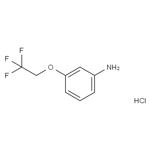 3-(2,2,2-三氟乙氧基)苯胺盐酸盐