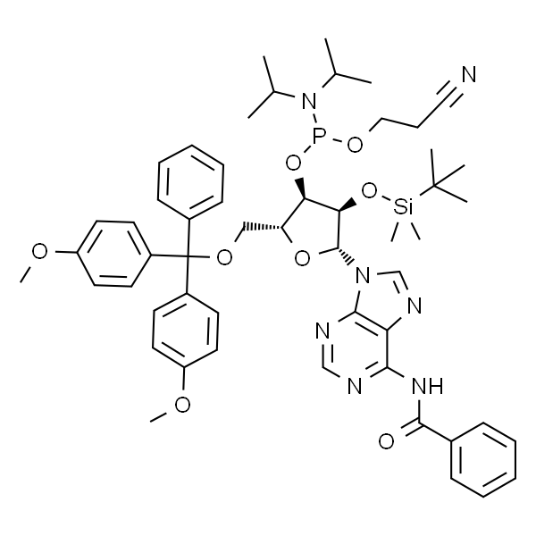 N-苯甲酰基-5’-O-(4,4-二甲氧基三苯甲基)-2’-O-[(叔丁基)二甲基硅基]腺苷-3’-(2-氰基乙基-N,N-二异丙基)亚磷酰胺