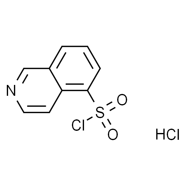 异喹啉-5-磺酰氯盐酸盐