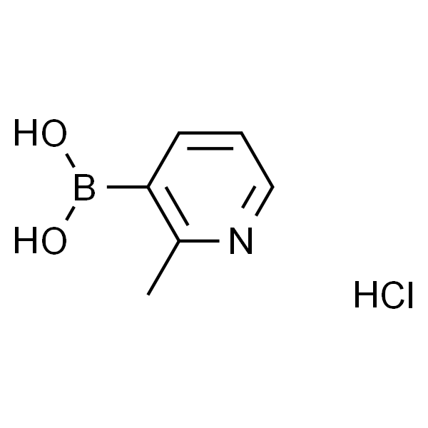 2-甲基吡啶-3-硼酸盐酸盐