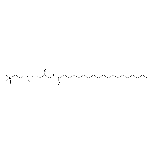 1-nonadecanoyl-2-hydroxy-sn-glycero-3-phosphocholine