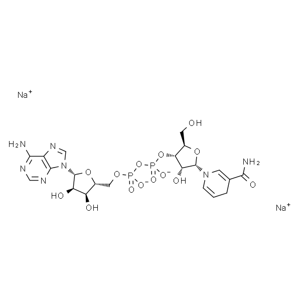 alpha-Nicotinamide adenine dinucleotide, reduced disodium salt 