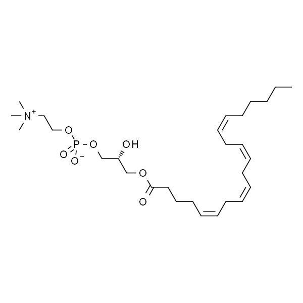 1-arachidoyl-2-hydroxy-sn-glycero-3-phosphocholine