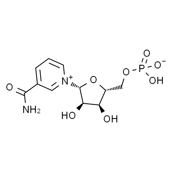 烟酰胺核苷酸（β-NMN）