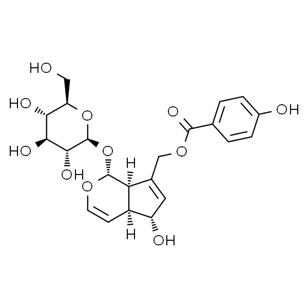 穗花牡荆苷