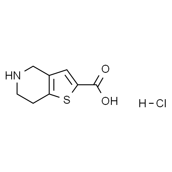 4,5,6,7-四氢噻吩并[3,2-c]吡啶-2-羧酸盐酸盐