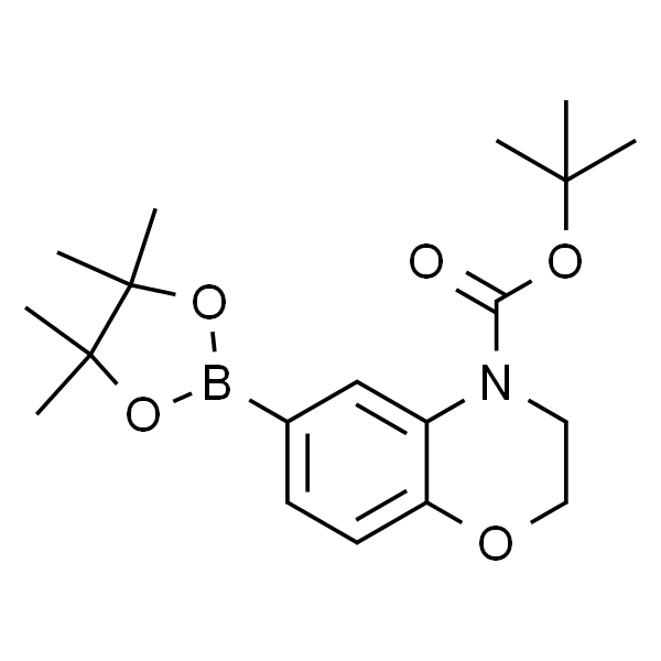 6-(4,4,5,5-四甲基-1,3,2-二噁硼烷-2-基)-2H-苯并[b][1,4]噁嗪-4(3H)-羧酸叔丁酯