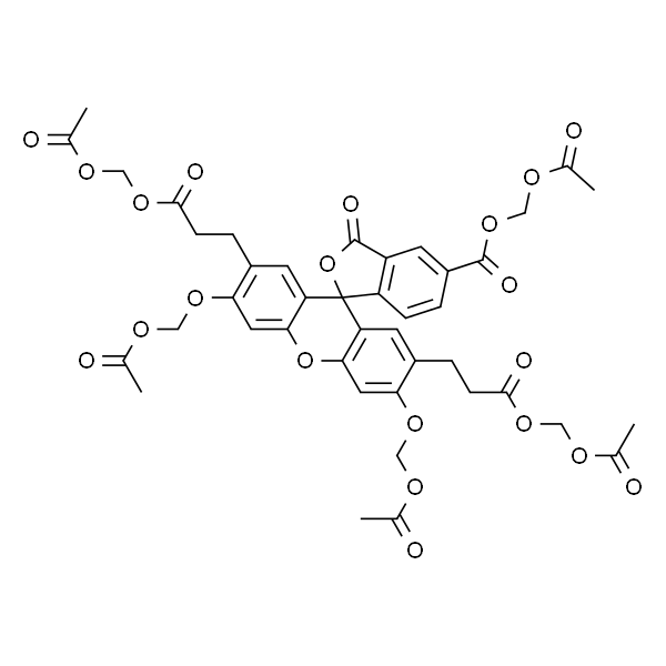 2'',7''-二-(2-羧乙基)-5(6)-羧基荧光素乙酰甲酯