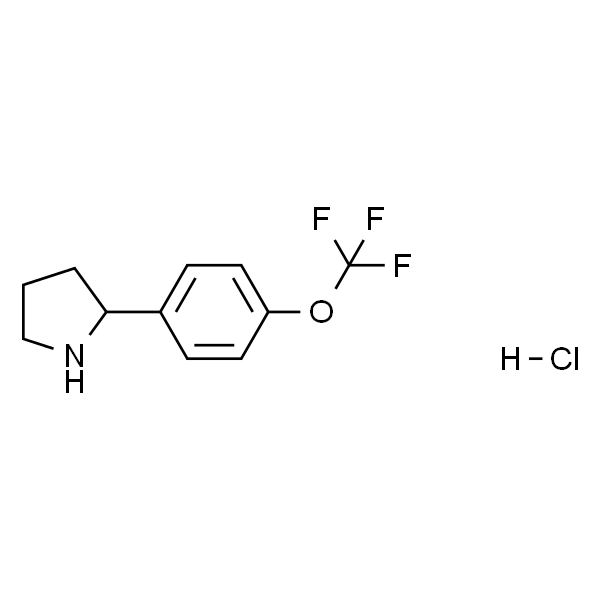 2-(4-(三氟甲氧基)苯基)吡咯烷盐酸盐