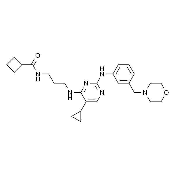 N-(3-((5-环丙基-2-((3-(吗啉代甲基)苯基)氨基)嘧啶-4-基)氨基)丙基)环丁烷