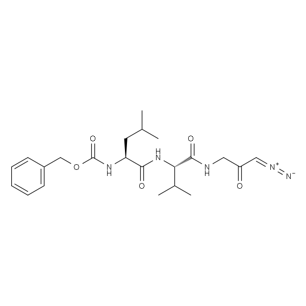 Z-LVG-CHN2