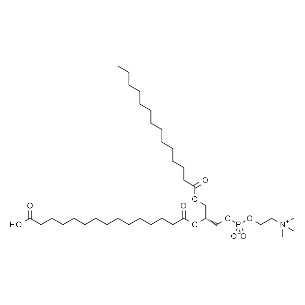 1-myristoyl-2-(14-carboxymyristoyl)-sn-glycero-3-phosphocholine