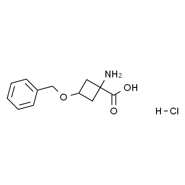 1-氨基-3-(苄氧基)环丁烷羧酸盐酸盐