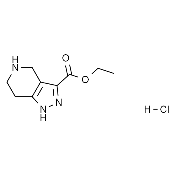 4,5,6,7-四氢-1H-吡唑并[4,3-c]吡啶-3-羧酸乙酯盐酸盐