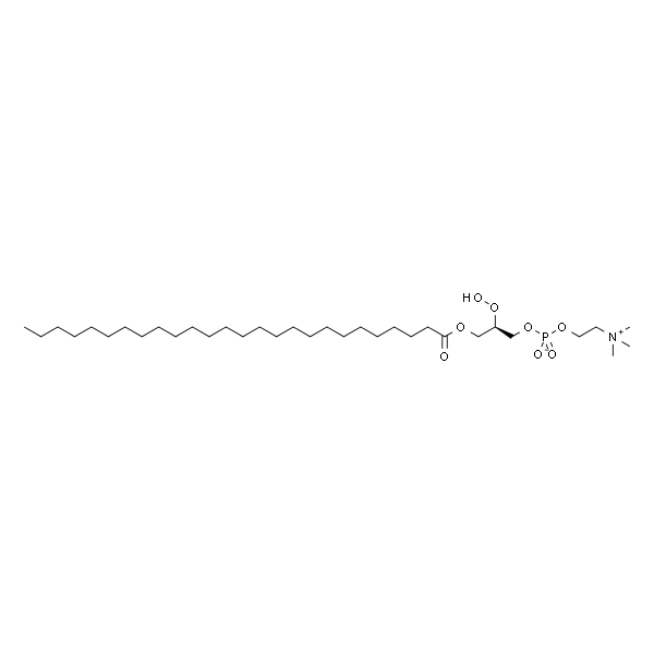 1-hexacosanoyl-2-hydroxy-sn-glycero-3-phosphocholine
