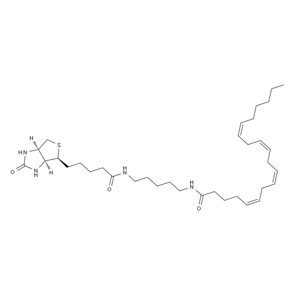 Arachidonic acid-biotin