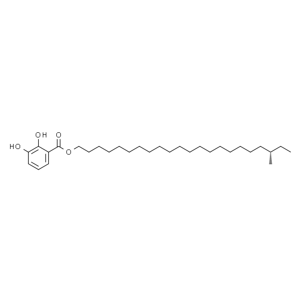 Gentiside B