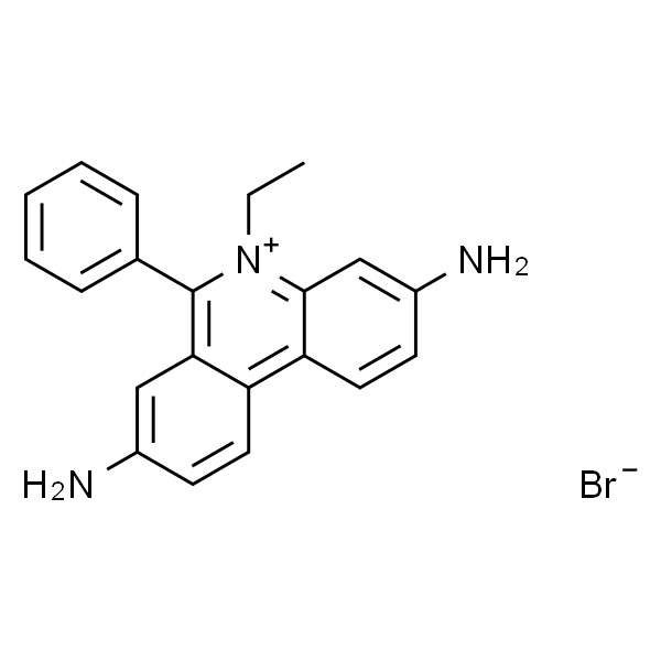 Ethidium Bromide (0.5mg/mL in Water)(in Dropper Bottle) [for Electrophoresis]