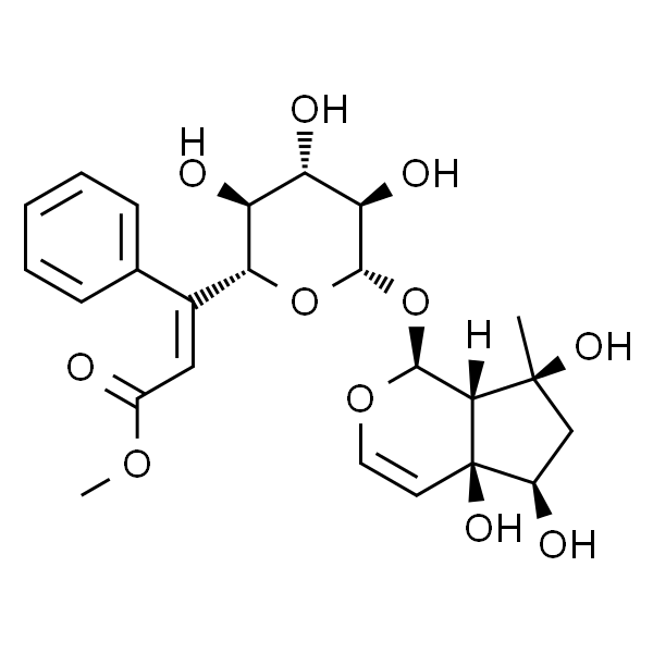 6'-O-肉桂酰基哈巴苷