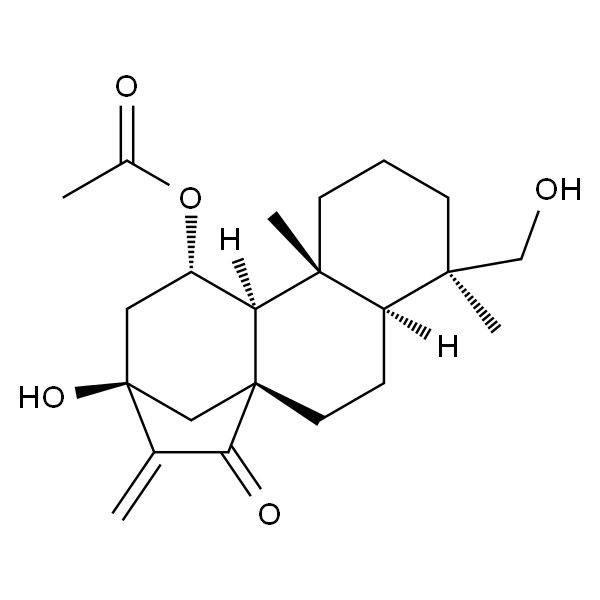 叶含乙酰瘿花香茶菜素 A