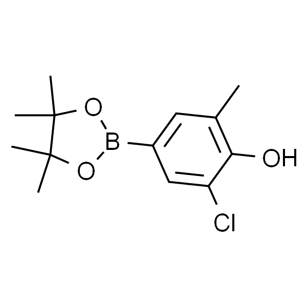2-氯-6-甲基-4-频哪醇硼酸酯苯酚