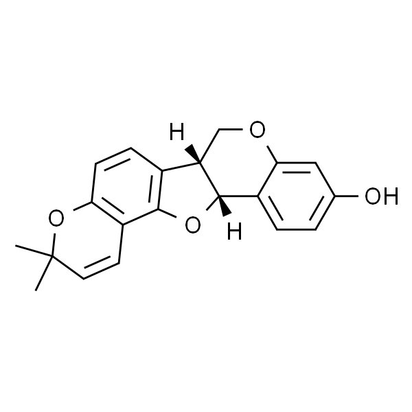 菜豆蛋白