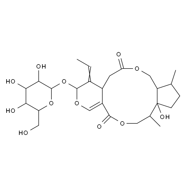 Isojasminin