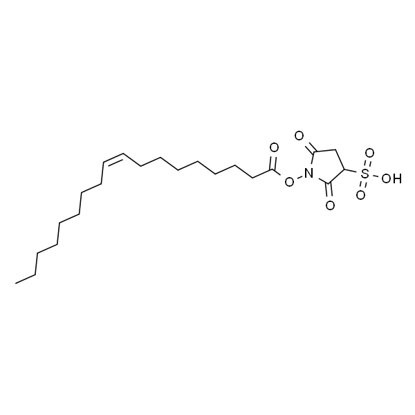 Sulfosuccinimidyl Oleate Sodium