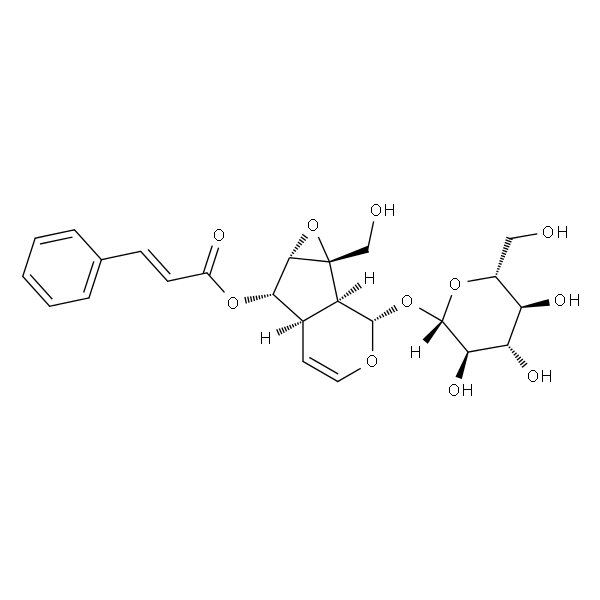 6-O-Cinnamoylcatalpol