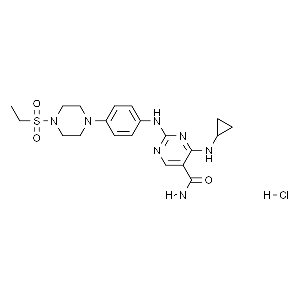 Cerdulatinib盐酸盐