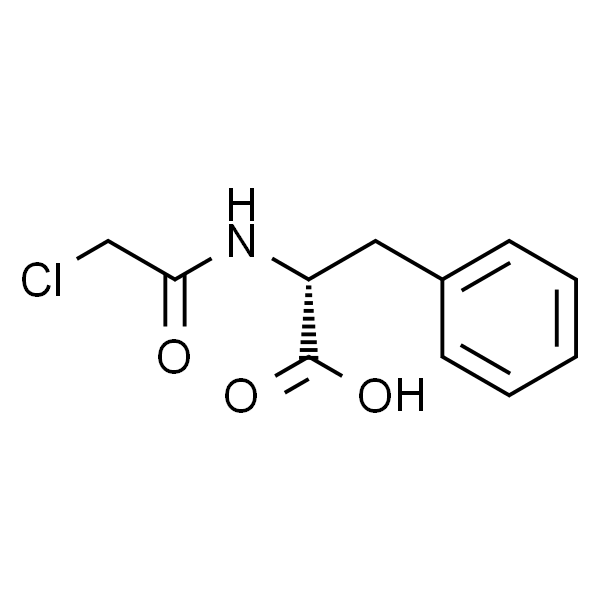 N-氯乙酰-D-苯丙氨酸